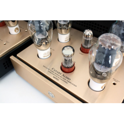 Her ser du M350 - 300B Push-Pull Mono Block Power Amplifiers (300B tubes not inc.) pair fra Canary Audio