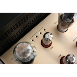 Her ser du M350 - 300B Push-Pull Mono Block Power Amplifiers (300B tubes not inc.) pair fra Canary Audio