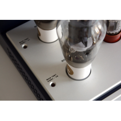 Her ser du M90 - 300B Push-Pull Stereo Power Amplifier (300B tubes not inc.) fra Canary Audio