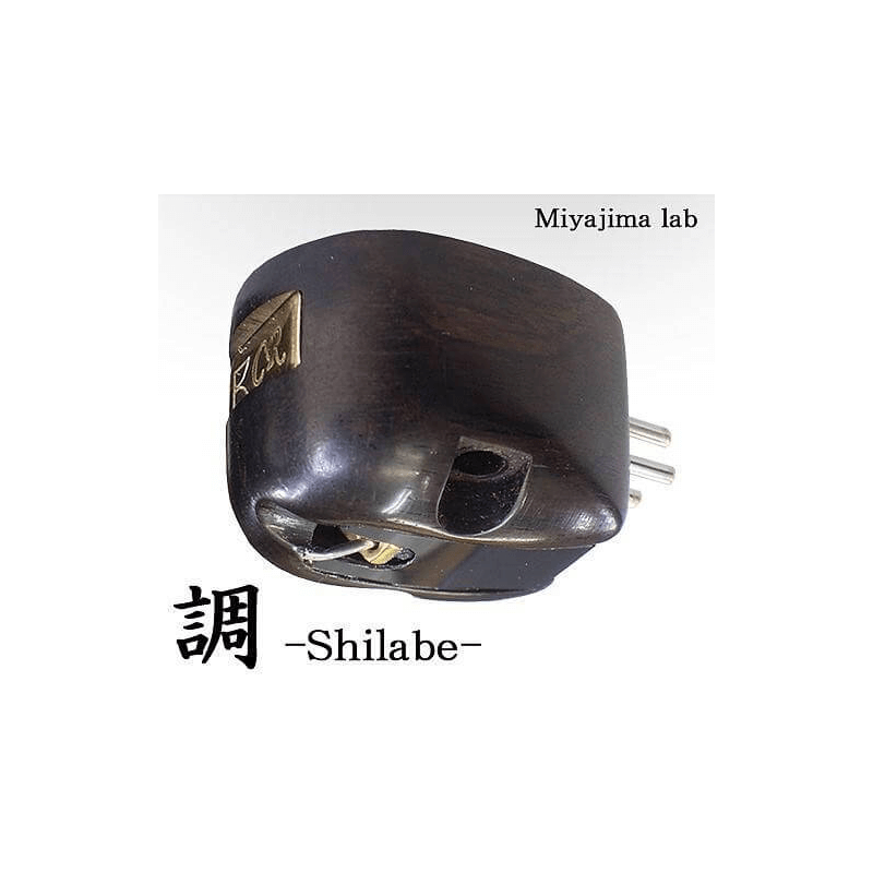 Her ser du Shilabe fra