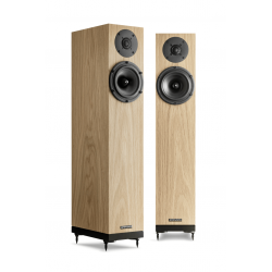 Her ser du A-Line A2 fra Spendor Audio