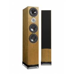 Her ser du D-Line D9.2 fra Spendor Audio