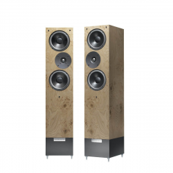 Her ser du IBX-RW3 fra Living Voice